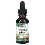Nature's Answer, Extracto de propóleo, Sin alcohol, 1000 mg, 30 ml (1 oz. líq.)
